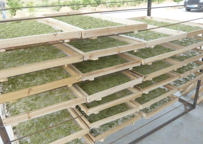 小型金銀花烘干機多少錢一臺？小型號「價錢低」烘干更靈活