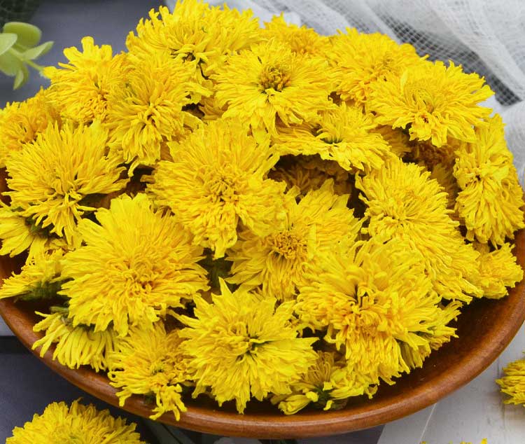 正旭空氣能熱泵烘干機菊花茶烘干機金絲皇菊茶熱泵烘干機項目案例實拍圖片 正旭空氣能熱泵烘干機菊花茶烘干機金絲皇菊茶熱泵烘干機項目案例實拍圖片